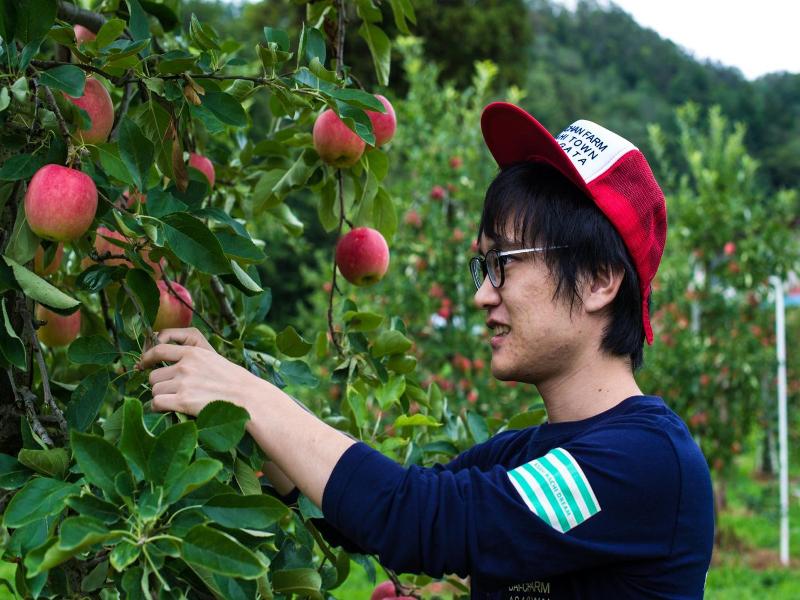 Daichan Farm Guest House image