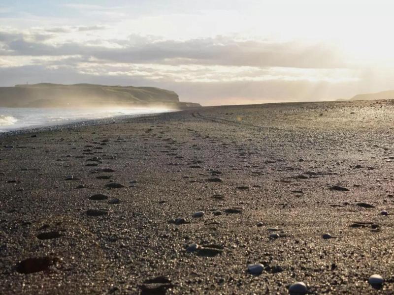 Black Beach Suites image