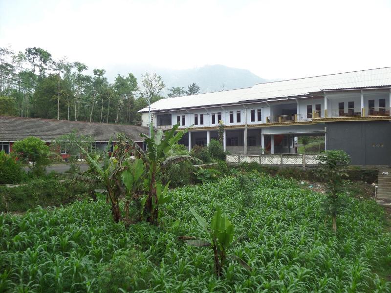 Nadia Hotel image