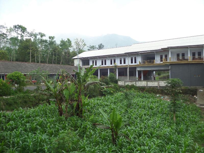 Nadia Hotel image