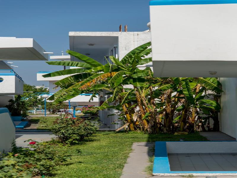 Yannis Yard Studios And Apartments image