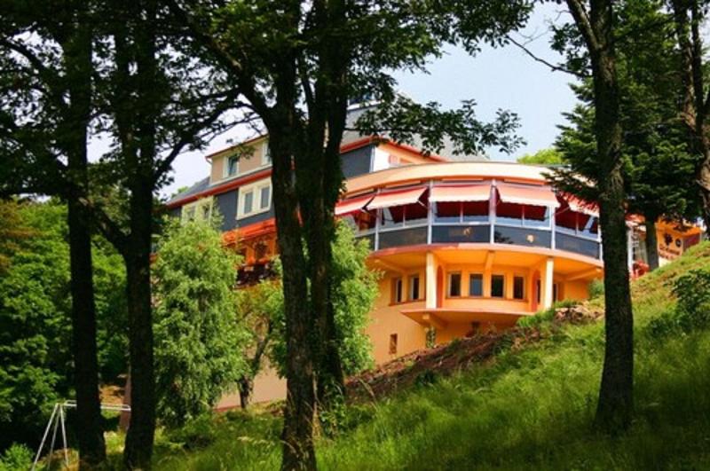 Hostellerie Le Turckheim Croix D Or image