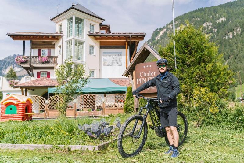 Hotel Chalet Pineta image