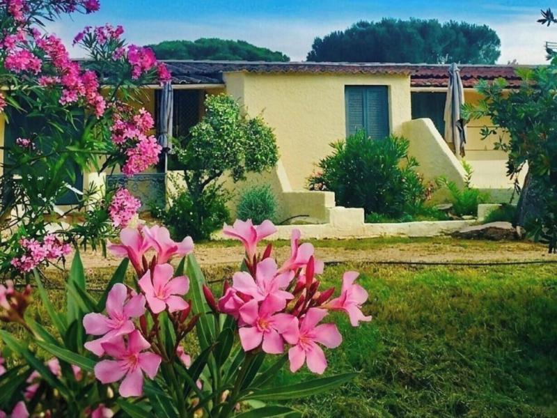 Residence Filippi image
