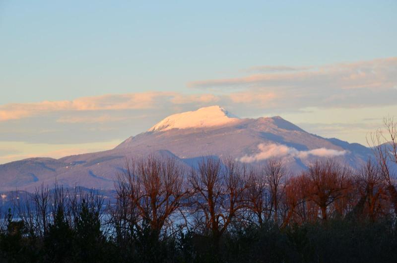 Lugana 9 image