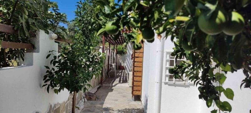 Skiathos Young Guesthouse image