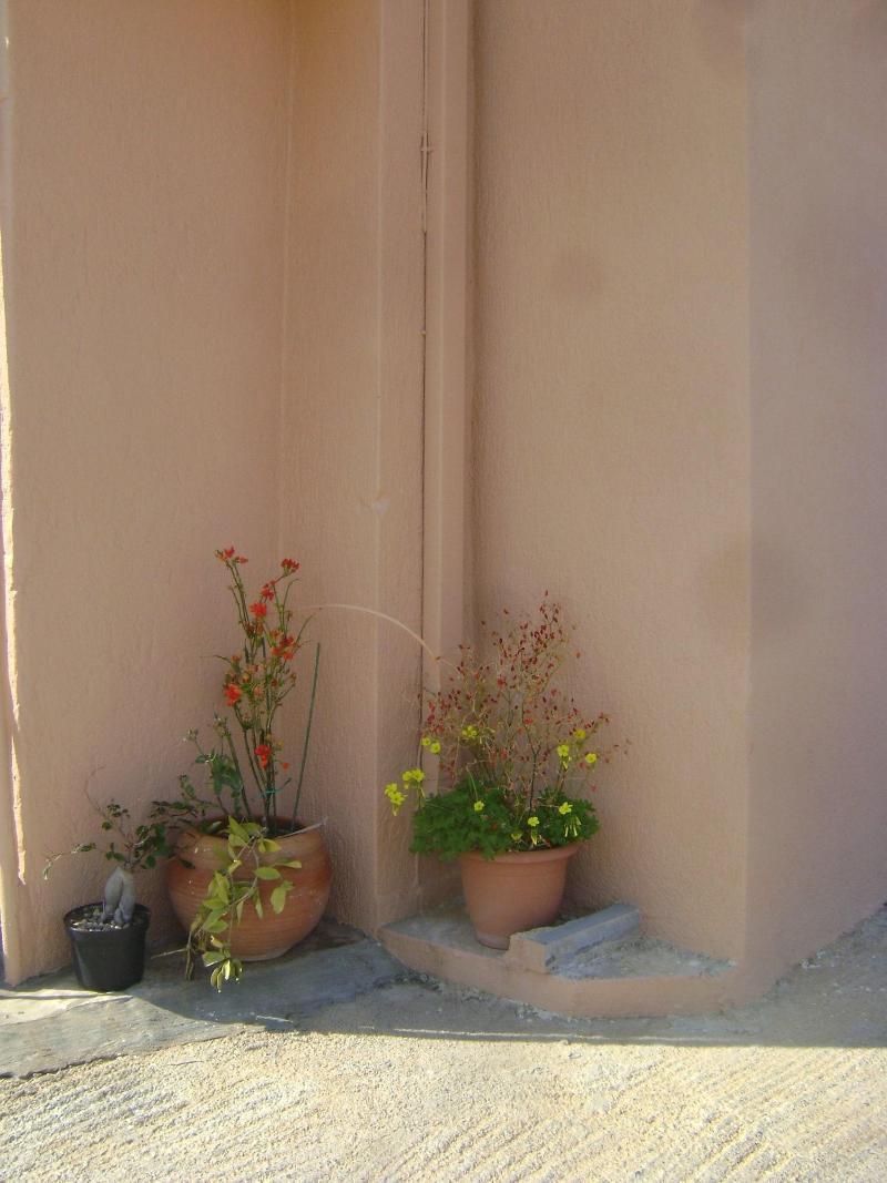 Kavousanos Apartments