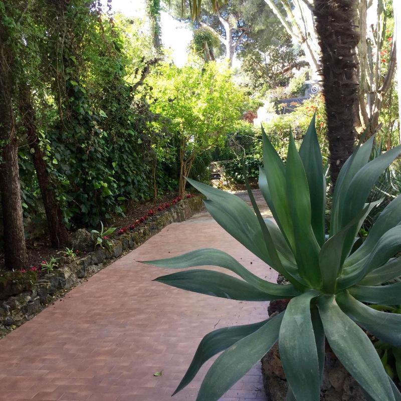 Quinta Maria — photo 3