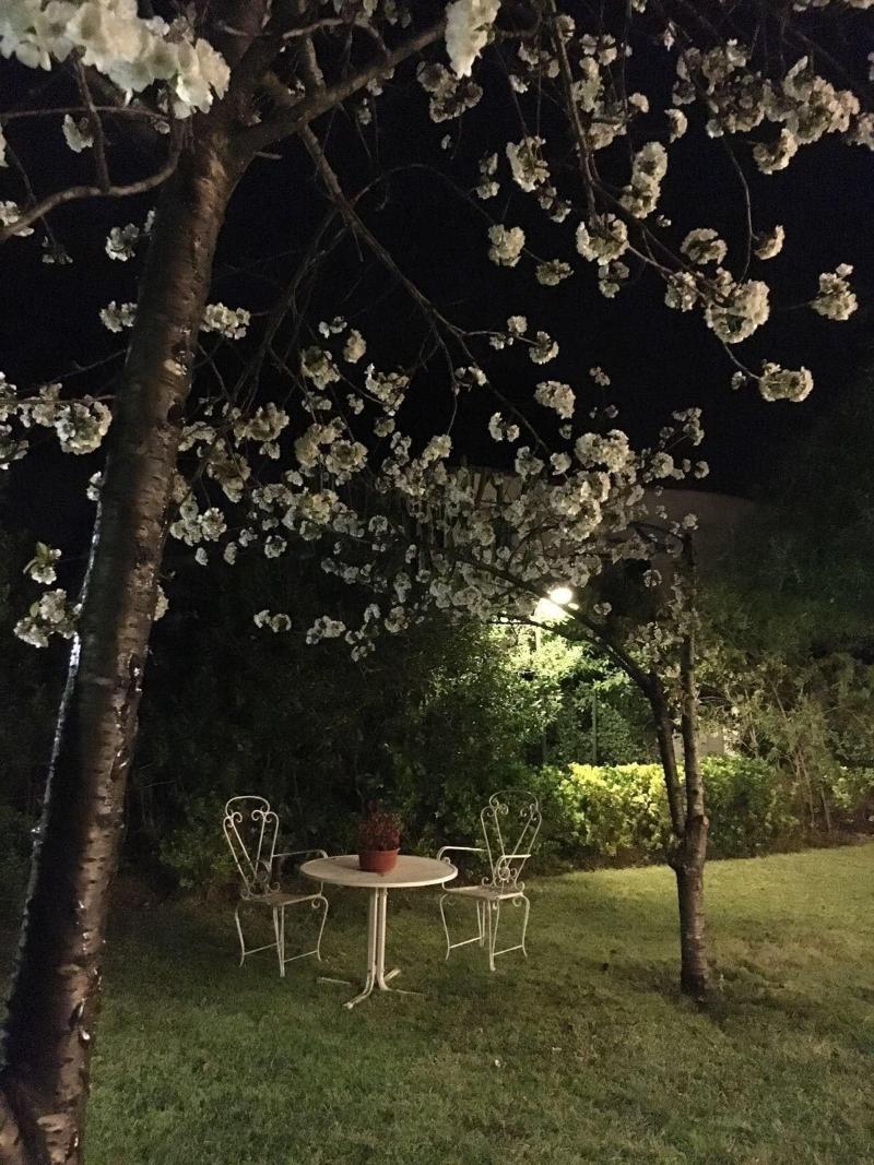 Quinta Maria — photo 5