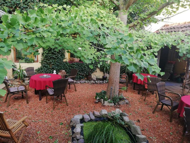 Hotel Zum Ginkgobaum image