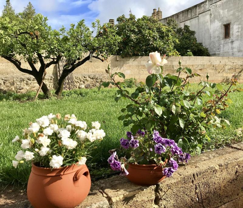 B B Corte Mercurio — photo 2