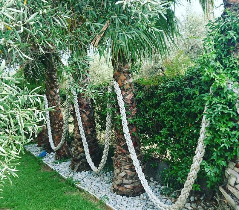 B B Villa Del Sole — photo 5