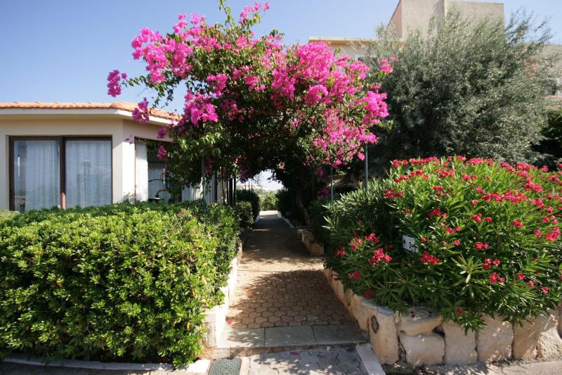 Artemis Village Apartments Studios image