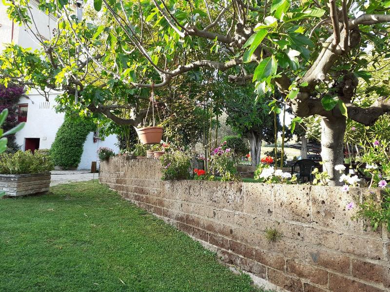 Pier Delle Vigne B B — photo 5