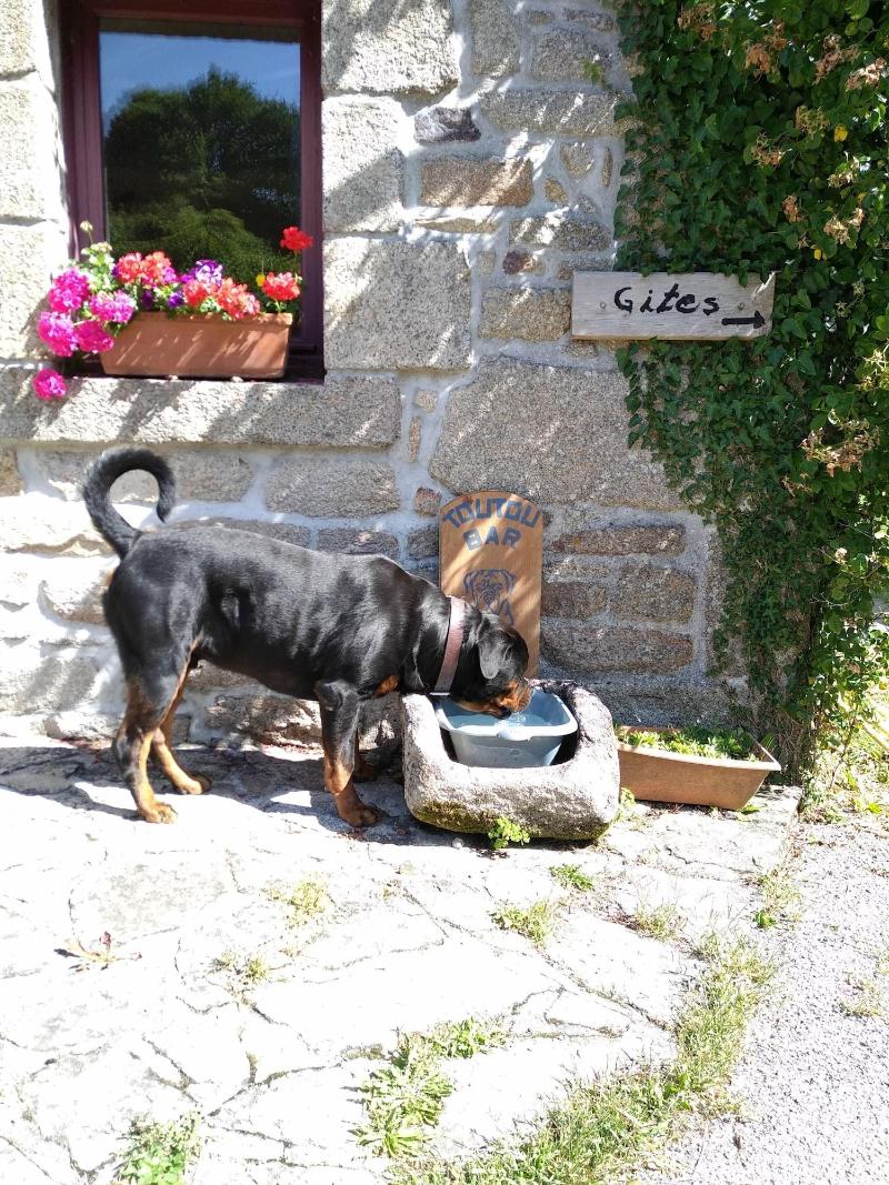 Domaine De Lesvaniel image