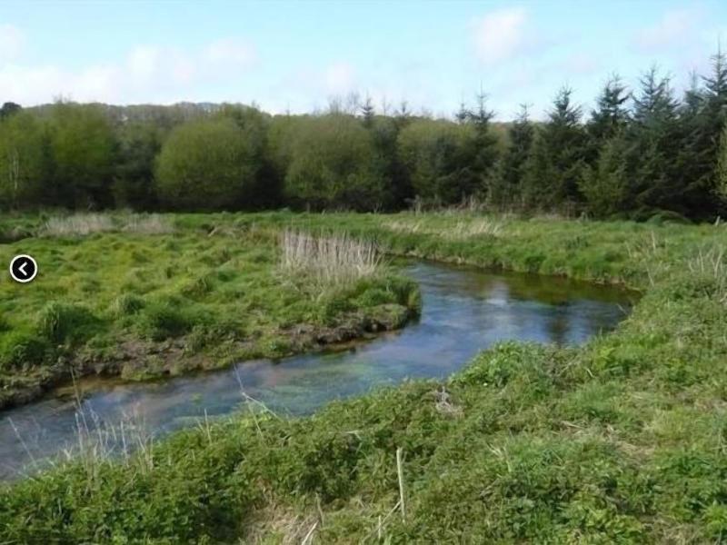 Domaine De Lesvaniel image