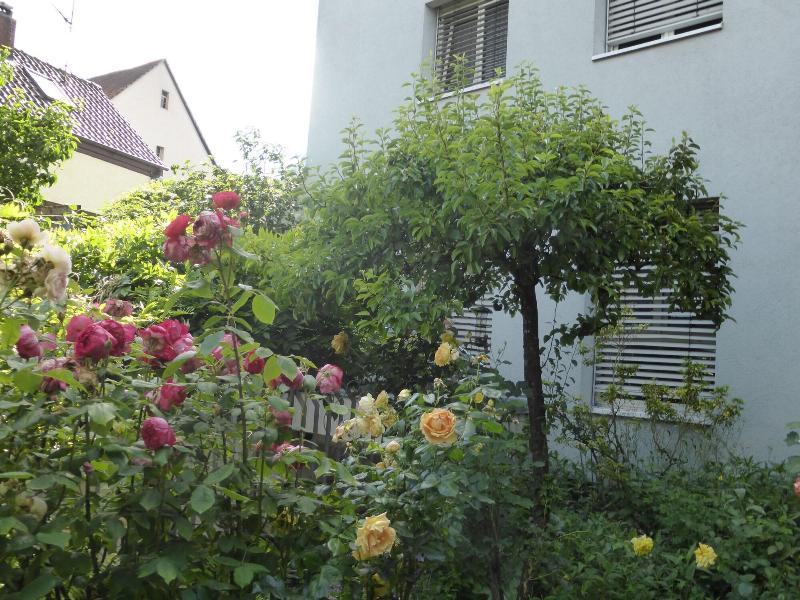 Ga Stehaus Linde Hotel Garni image