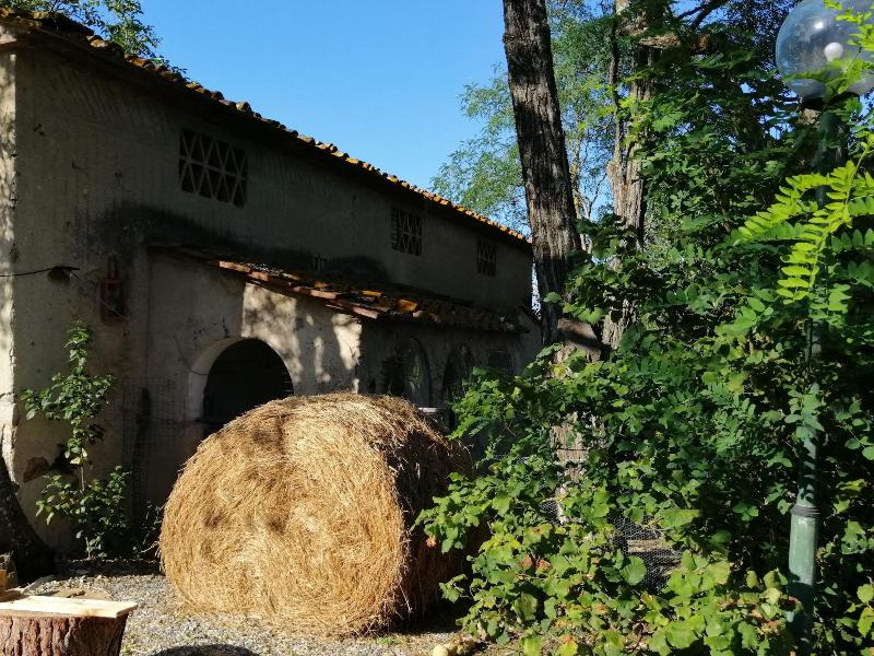 B B Fattoria Camilla — photo 4