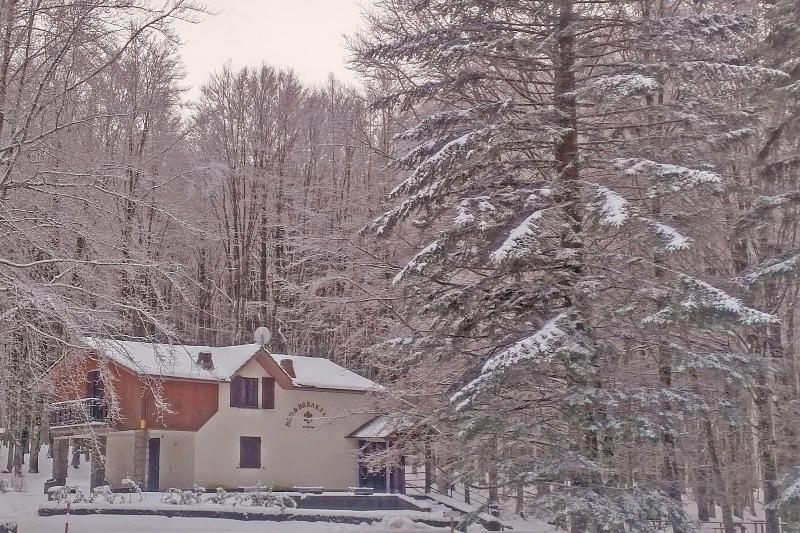 Chalet Il Cristallo image