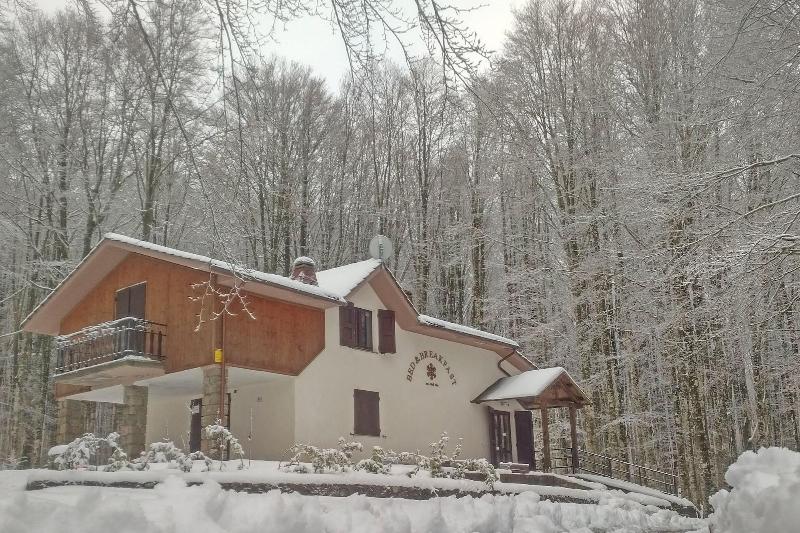Chalet Il Cristallo image