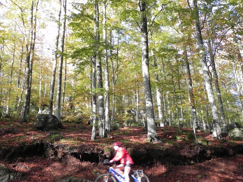 Chalet Il Cristallo image
