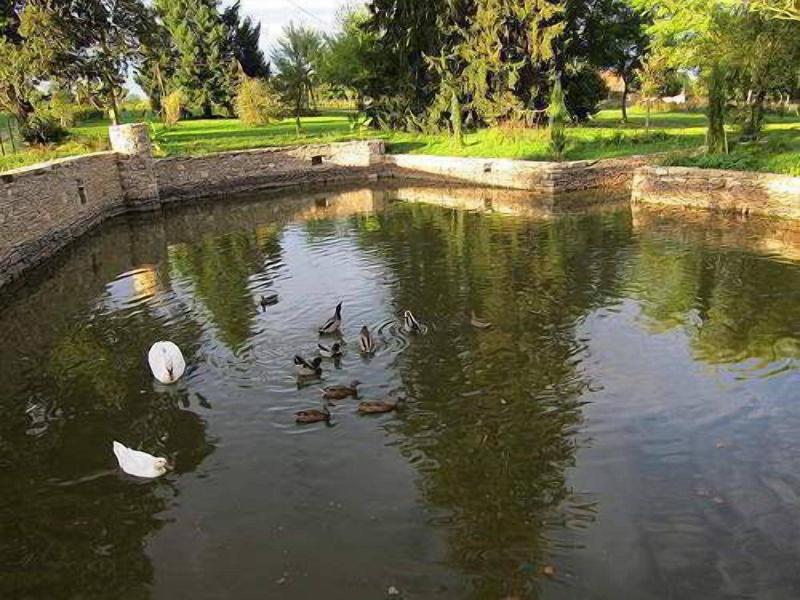 Domaine Des Ormeaux image
