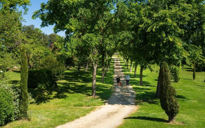 Domaine Des Ormeaux image
