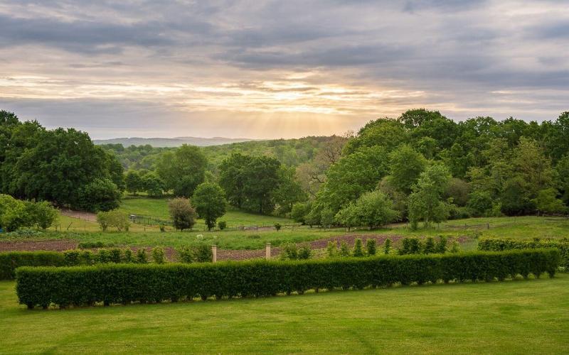 Domaine Des Ormeaux image