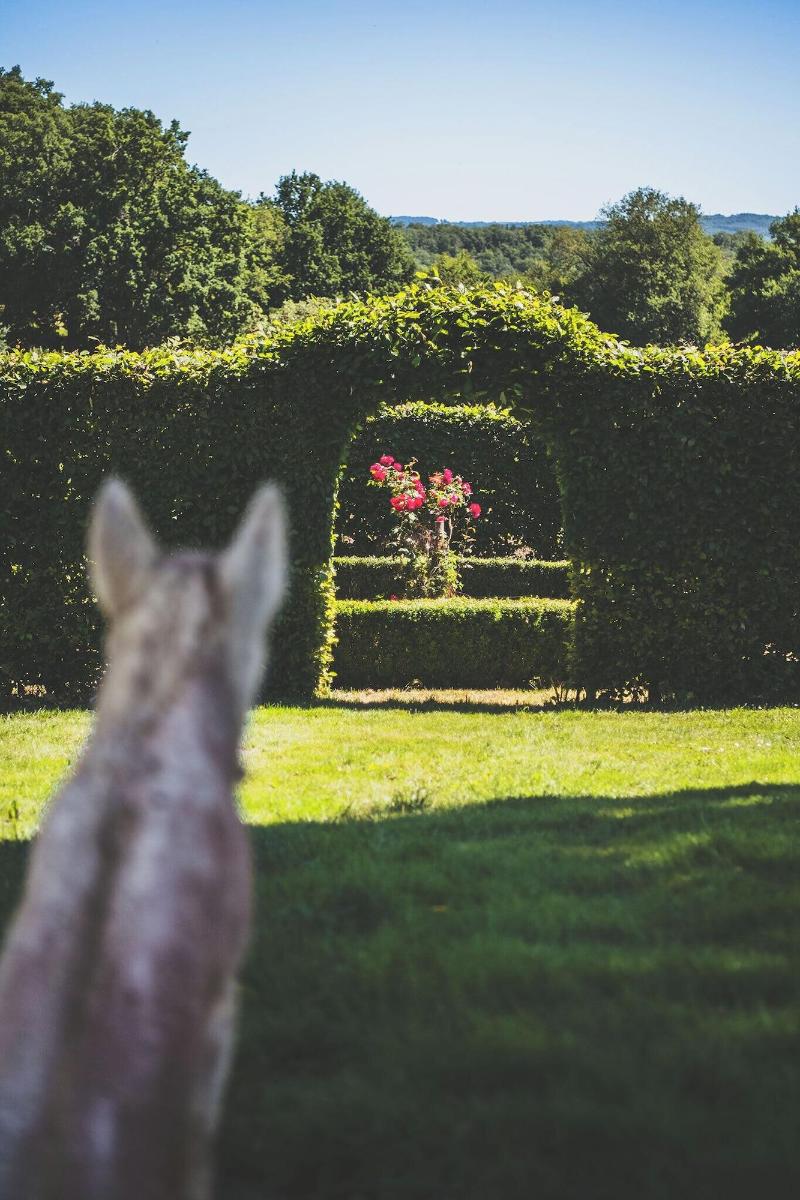 Domaine Des Ormeaux image