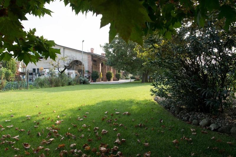 Le Rondini image