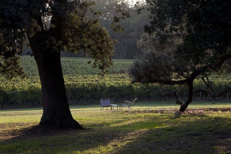 Cha Teau De Ferrand image