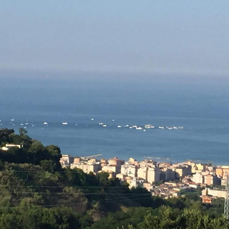 Le Limonaie A Mare image