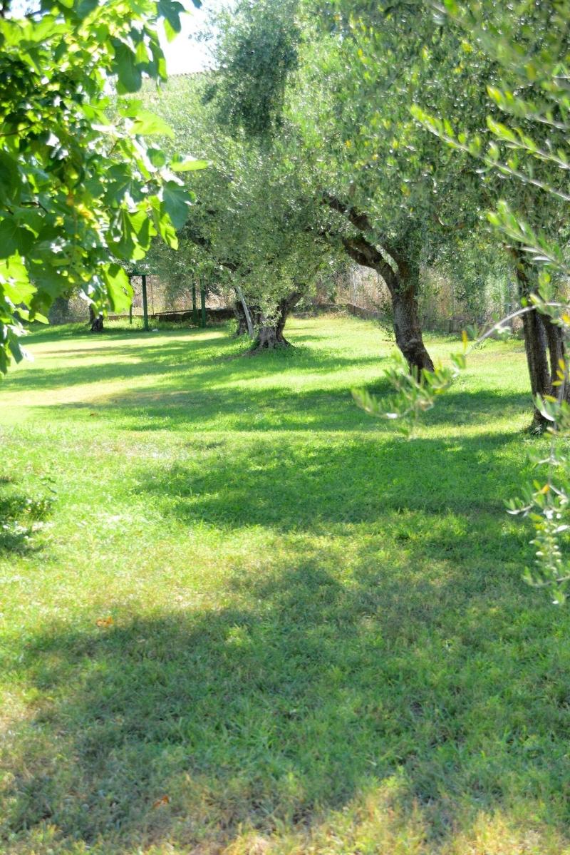 Anastasios Olive Garden Apartments — main photo