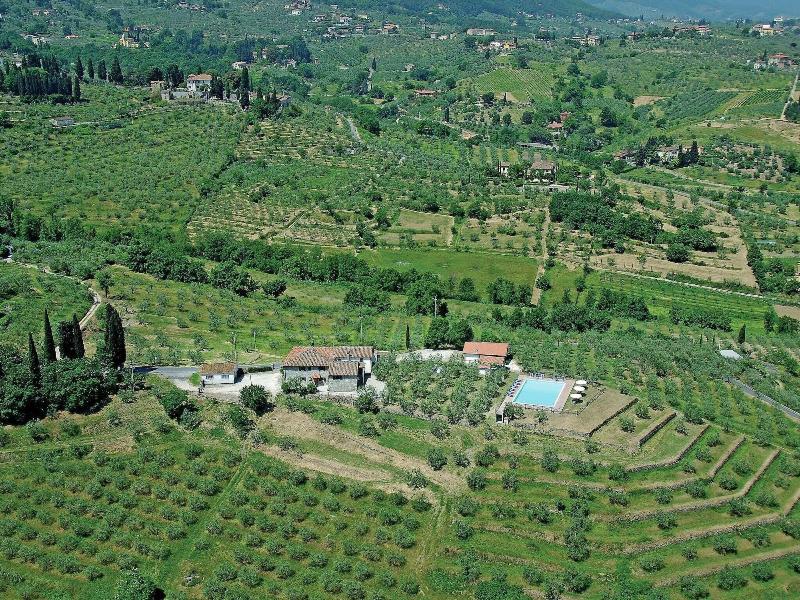 On The Green Hills In The Montalbano Area You Can