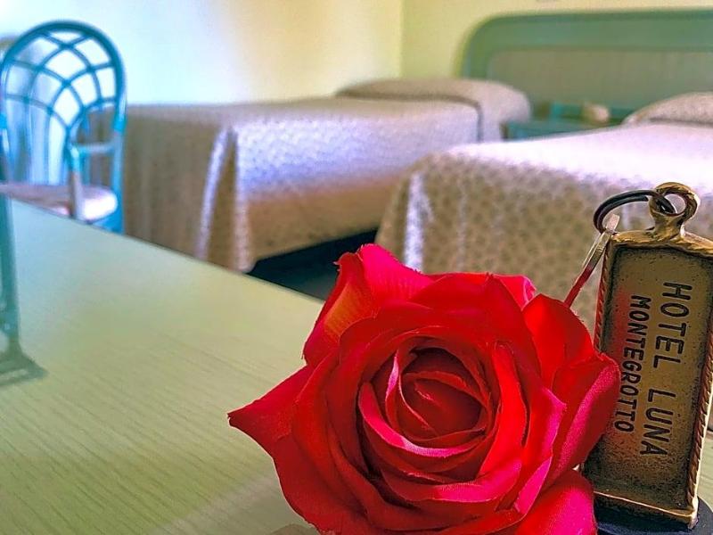 Hotel Terme Luna — photo 5