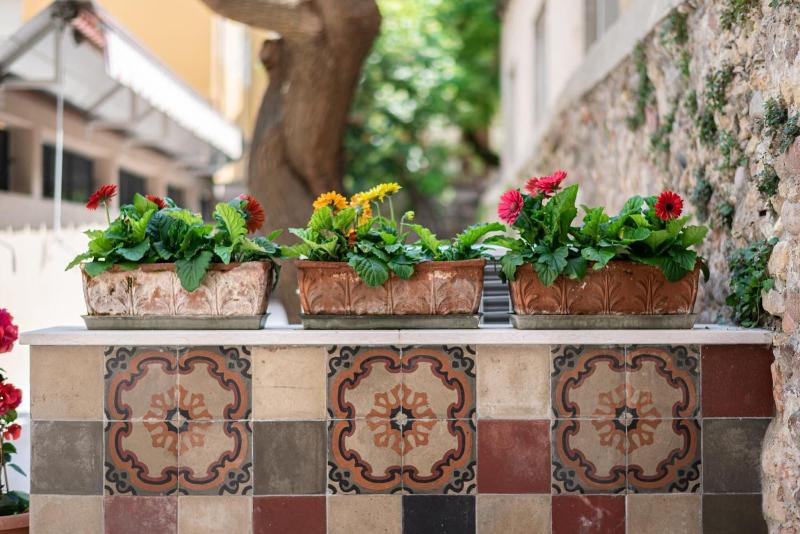 Santa Marta Rooms Studios image