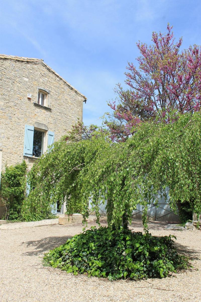 Chambres D Hotes La Rose image