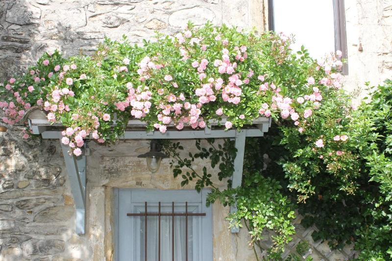 Chambres D Hotes La Rose image