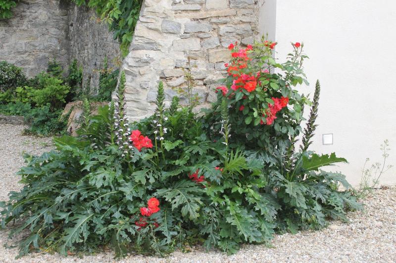 Chambres D Hotes La Rose image