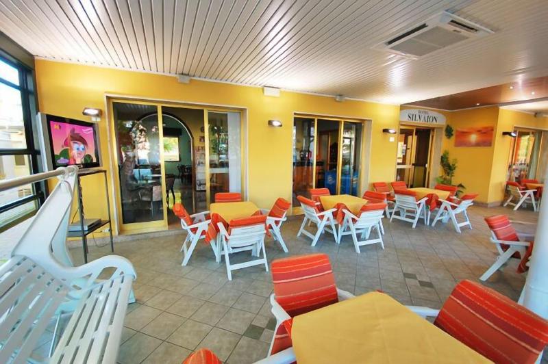 Hotel Silvaion image