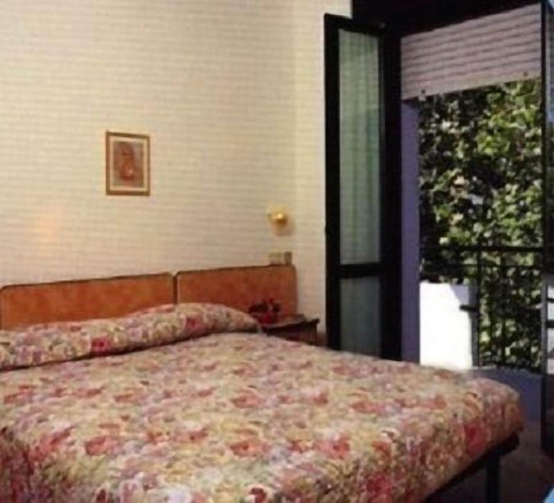 Hotel Silvaion image