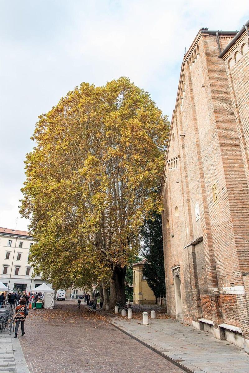 Casa Giotto image