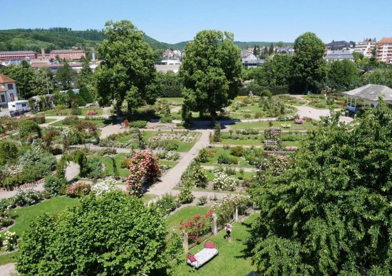 Le Jardin Des Roses image