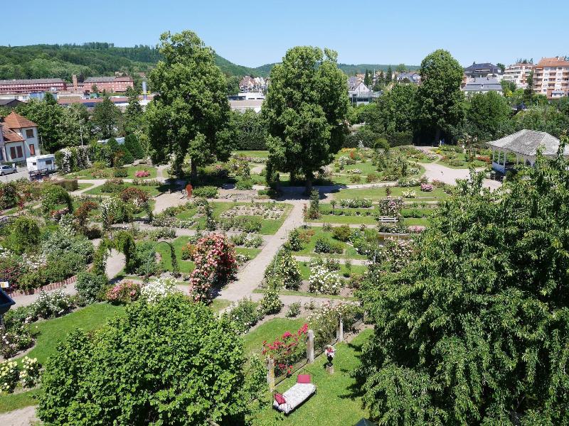 Le Jardin Des Roses image