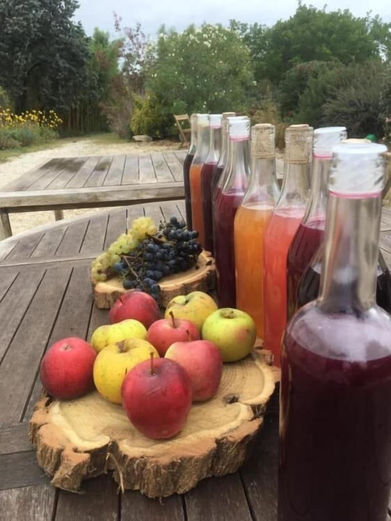 Domaine Terroca Ane image