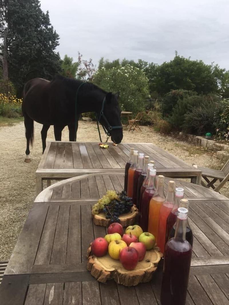 Domaine Terroca Ane image