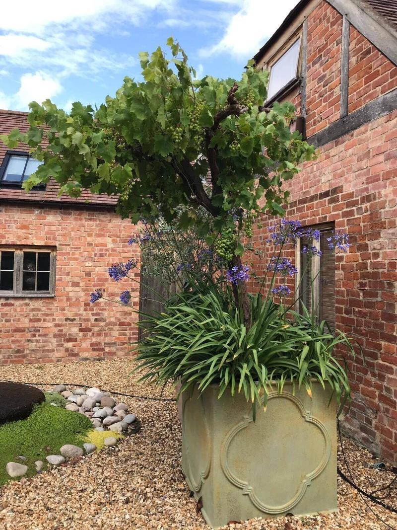 Eckington Manor image