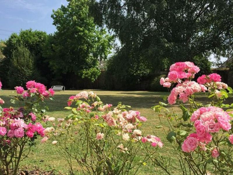 Domaine Des Trois Cha Teaux image