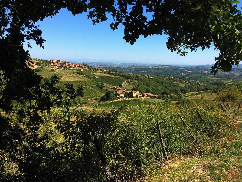 Le Clos Des Fayettes image