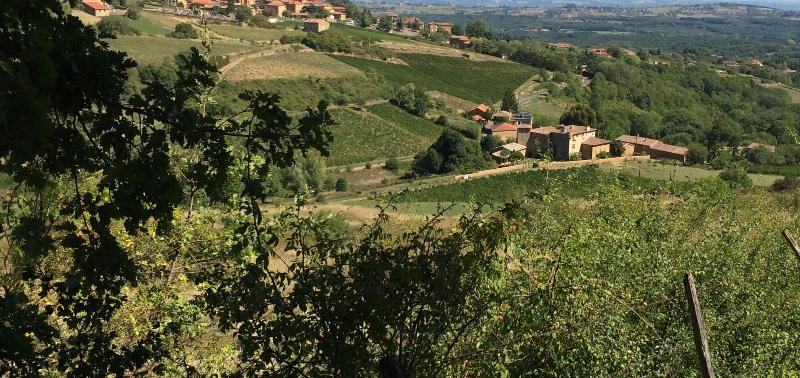 Le Clos Des Fayettes image